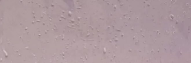 w2di_23's profile banner image