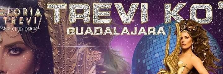 trevikogdl's profile banner image