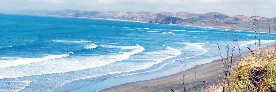 german schulz banner