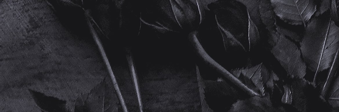 zeropprp's profile banner image