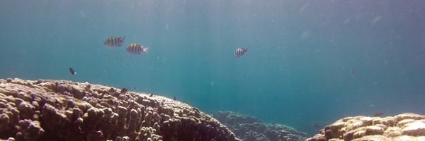 anaiem91 Profile Banner