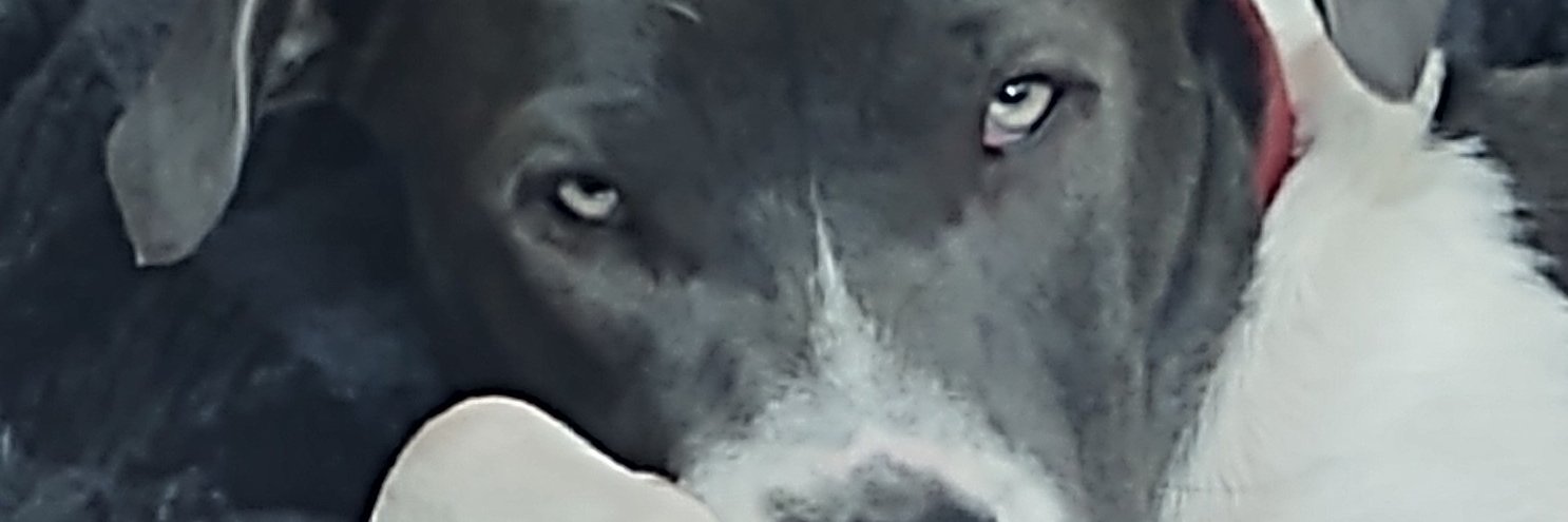 seanodom's profile banner image