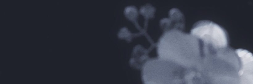 ___lovingly's profile banner image