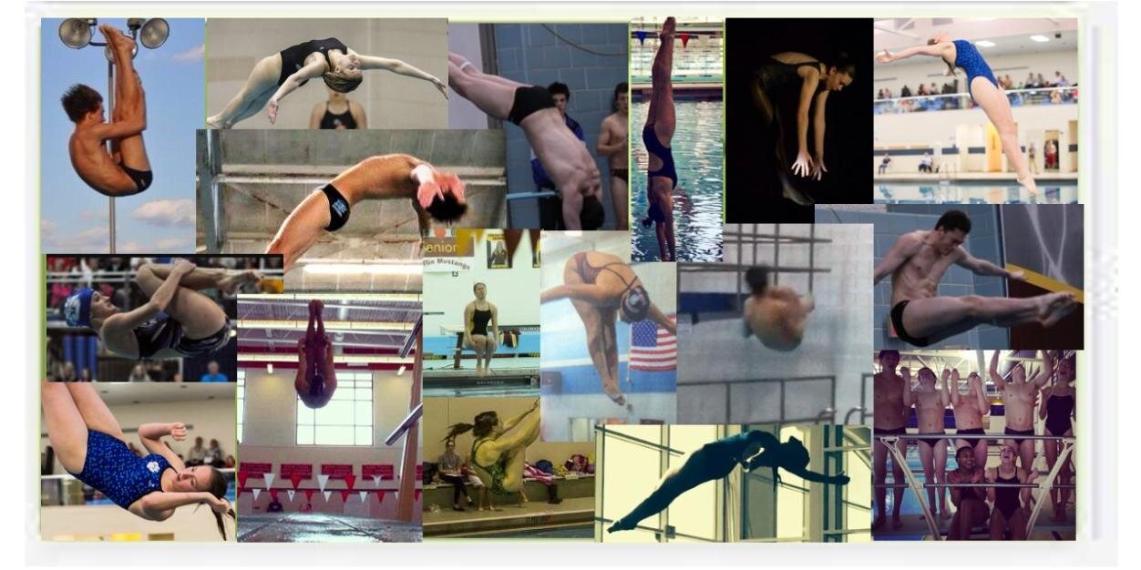 Shit divers say banner