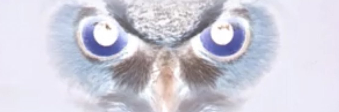 thechuckmshow's profile banner image