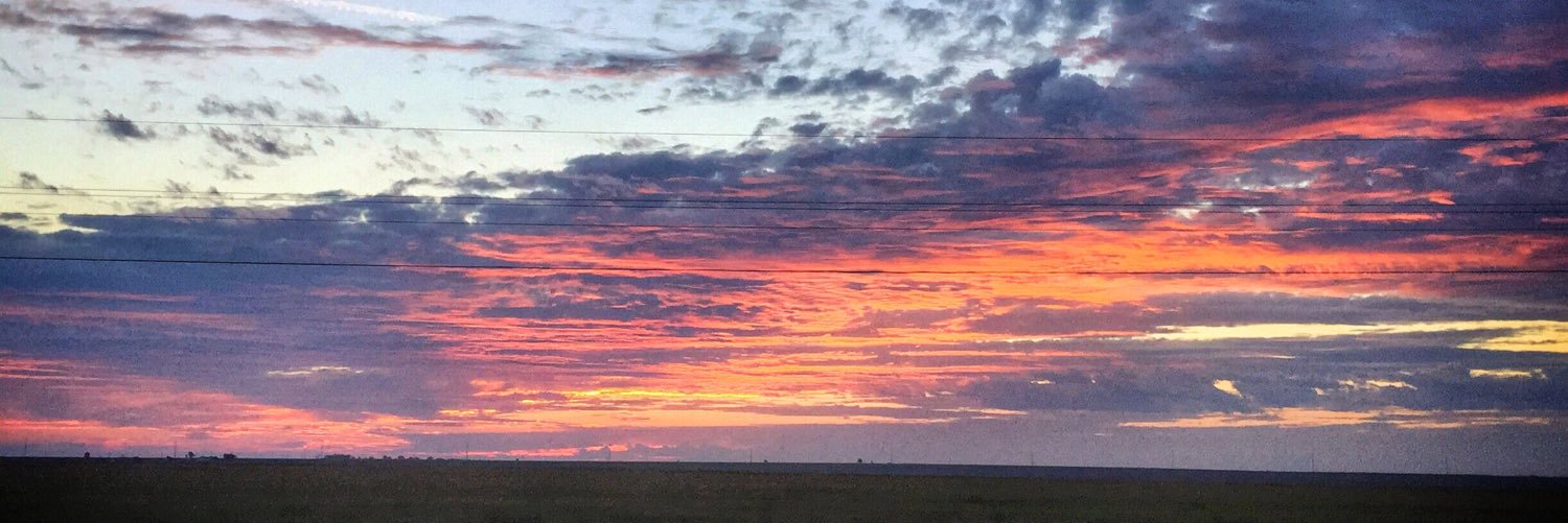 Vikram Baliga, PhD🌵 banner