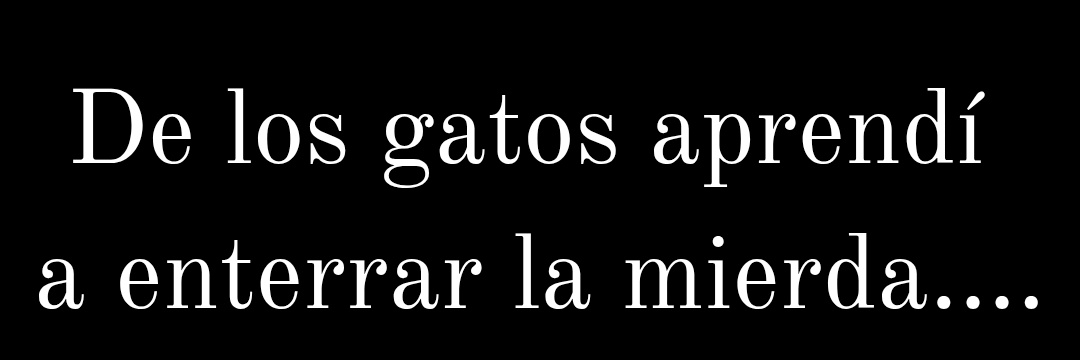 𝗖𝗼𝗿𝗻𝗲𝗹𝗶𝘂𝘀 💛 banner