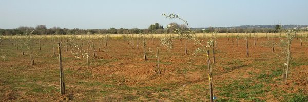 xf_actors Profile Banner