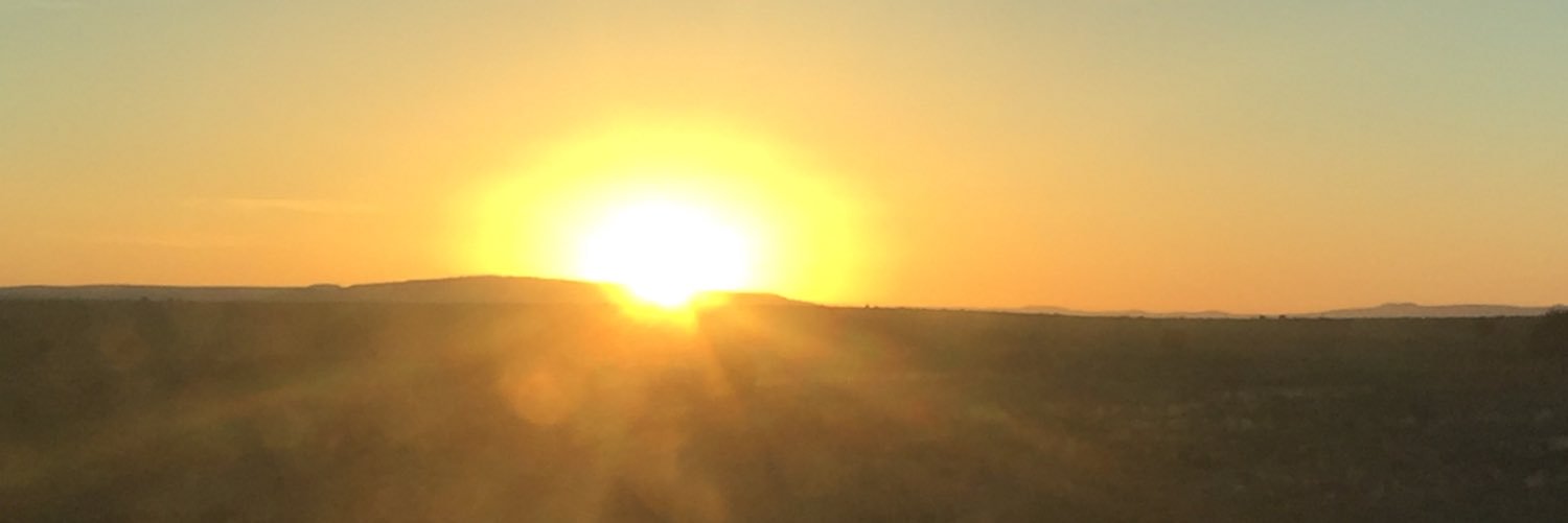 critter_4's profile banner image