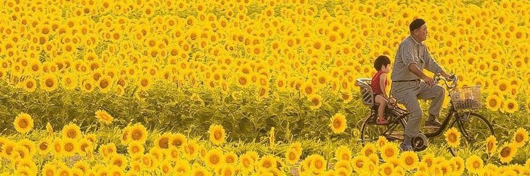 imnotyourjoys's profile banner image