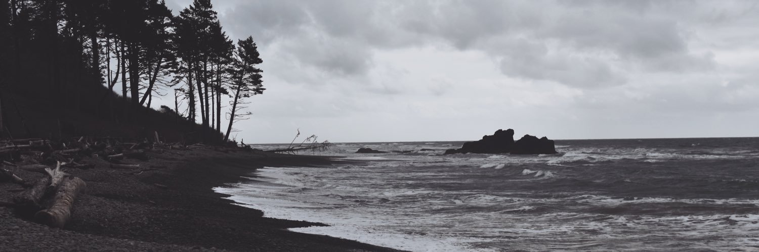 braveorca1's profile banner image