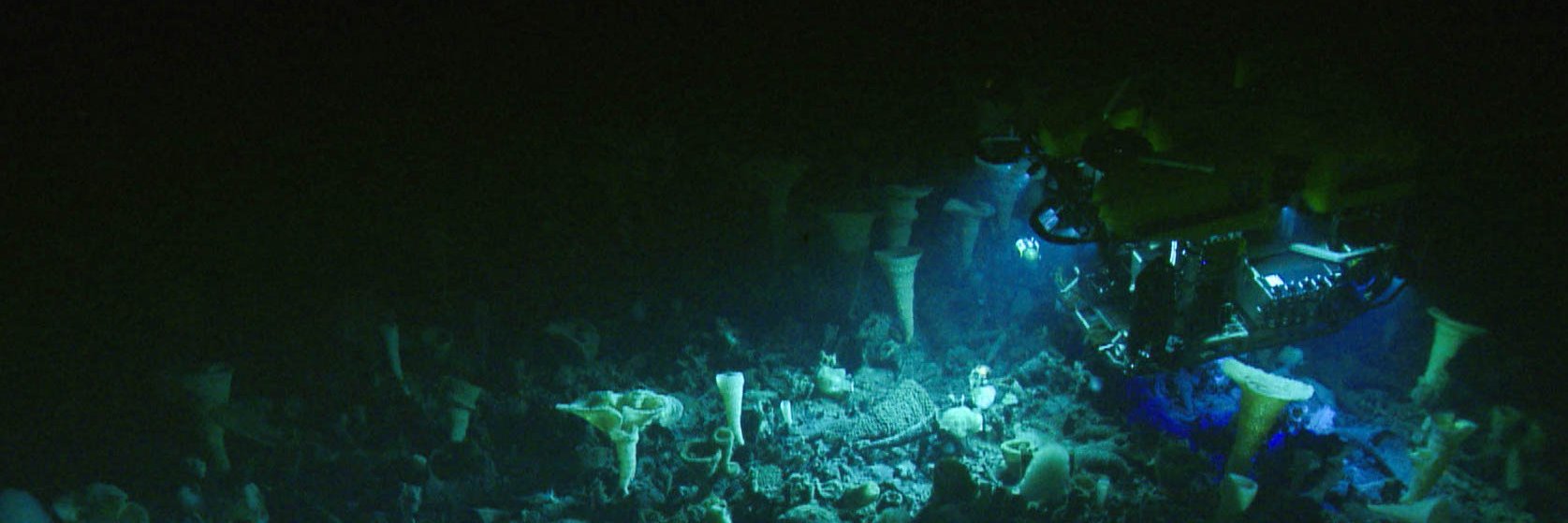 E/V Nautilus's banner