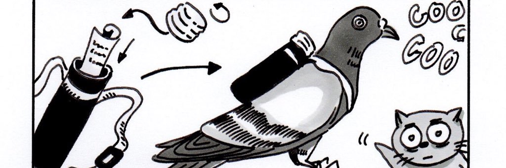 JBraiterman's profile banner image