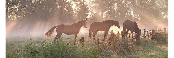 Pathways_Coach Profile Banner