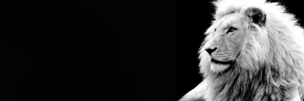 purevxgue's profile banner image
