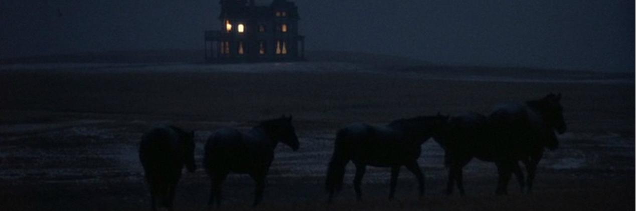 Salomé (derogatory) banner