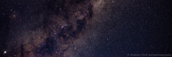 terri_ft Profile Banner