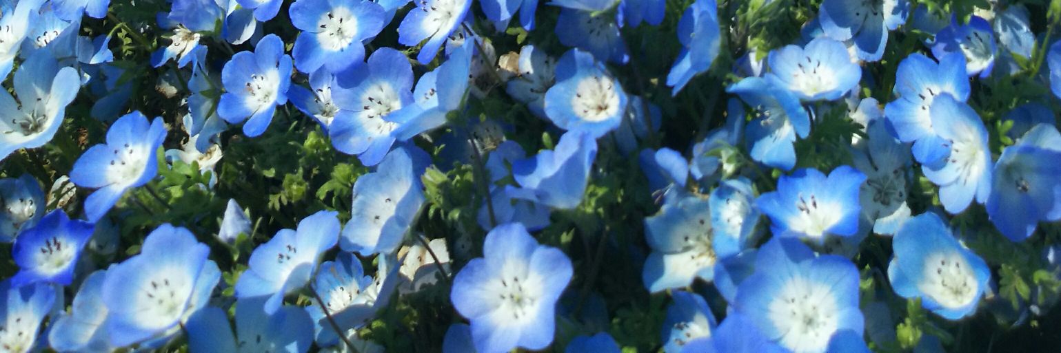 M_A_saco's profile banner image