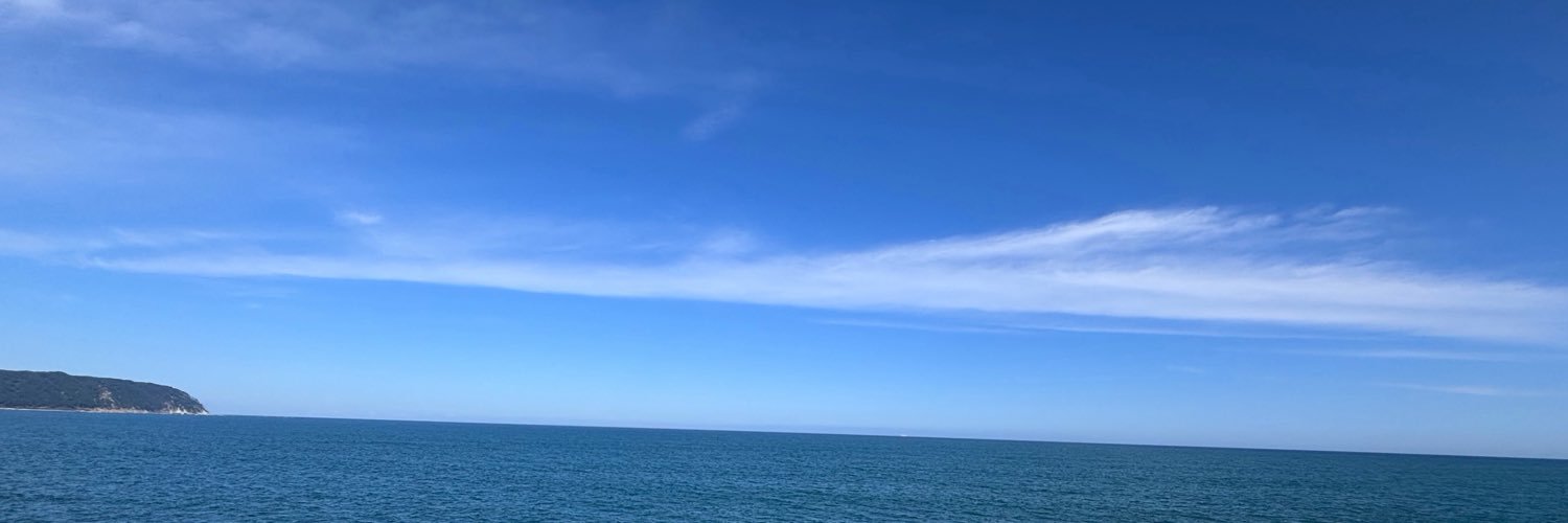 miccoro_sl's profile banner image