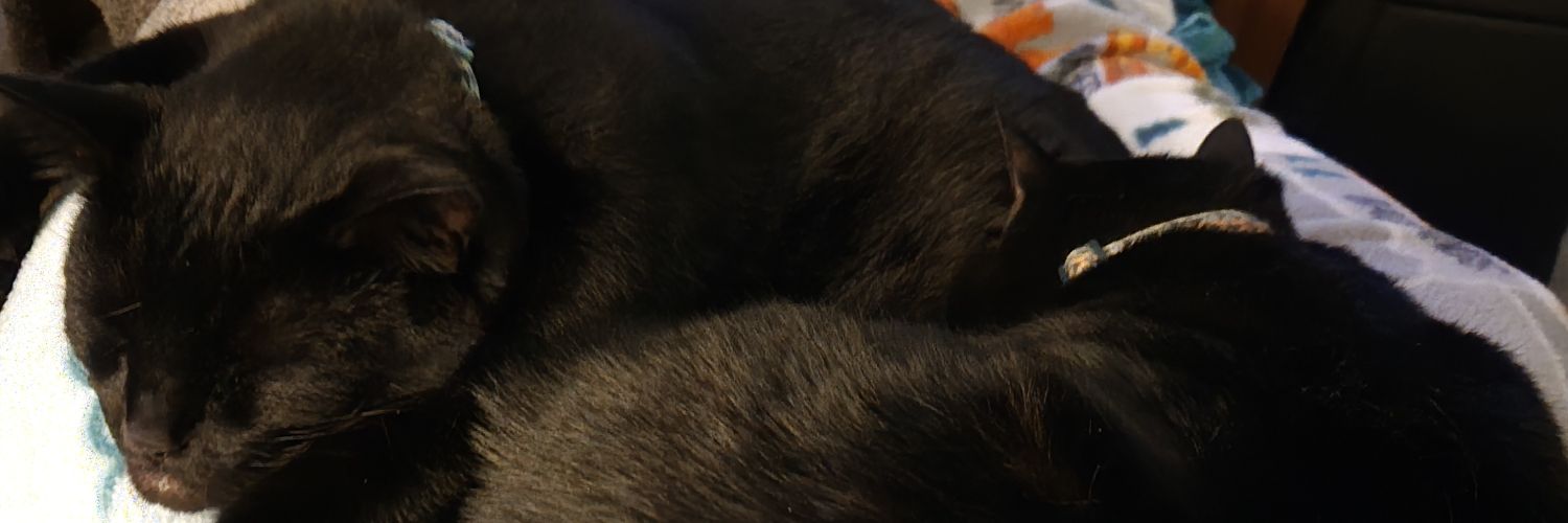 cannons157's profile banner image