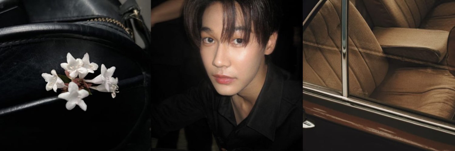 gigi 🎸🦈 banner