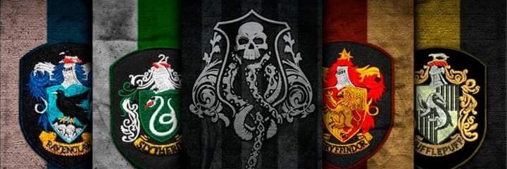BrunoArenhart99's profile banner image