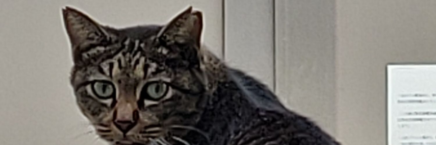 †草薙†2nd banner