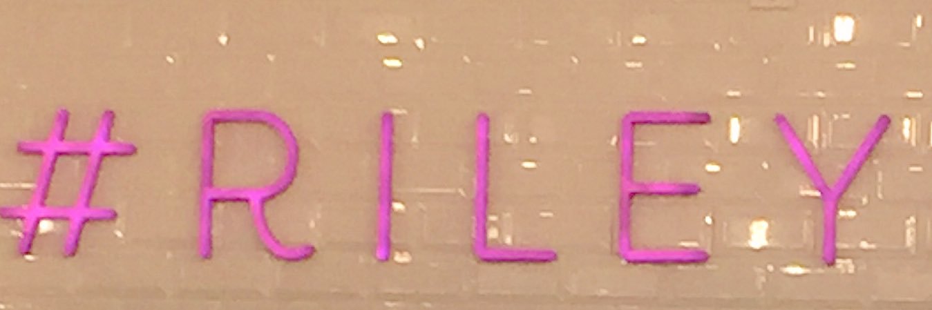 RileyDrain's profile banner image