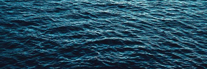 whalevoid_'s profile banner image