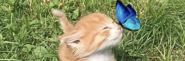 Ben3kk Profile Banner