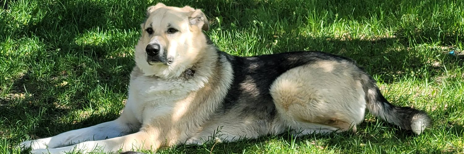 Timothy Enzenauer banner