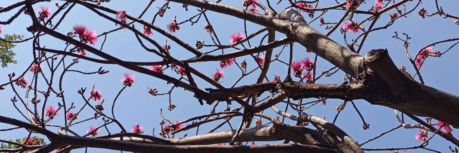 Mar y cielo ✨ banner