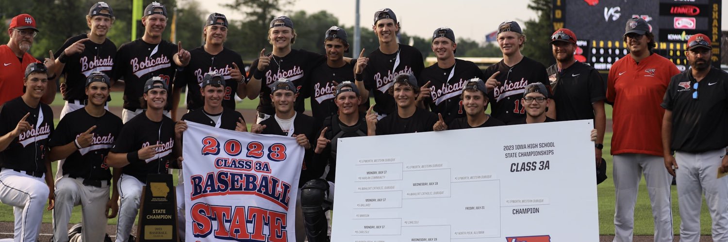 WDHS Baseball banner