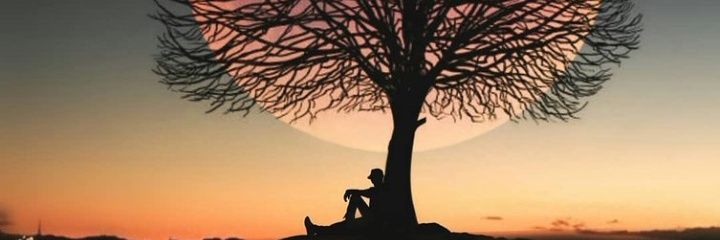 YasmimFraga_'s profile banner image