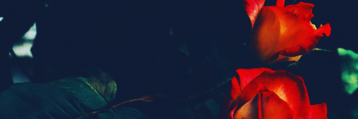 BoundaryBreaker's profile banner image