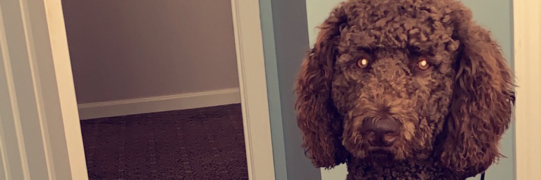 NiickColuccio's profile banner image