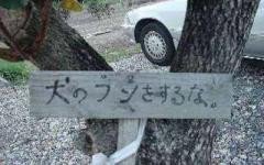 Live_Alive_'s profile banner image