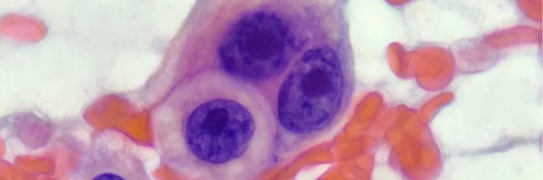 MauroSaieg Profile Banner