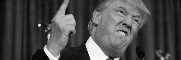 DaysLeft4Trump Profile Banner