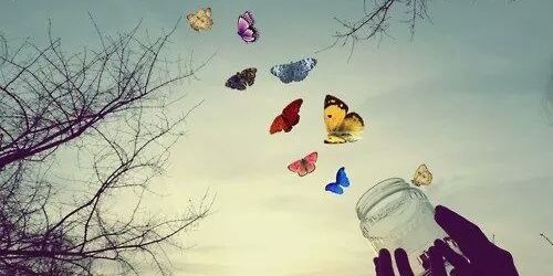 anaferq's profile banner image