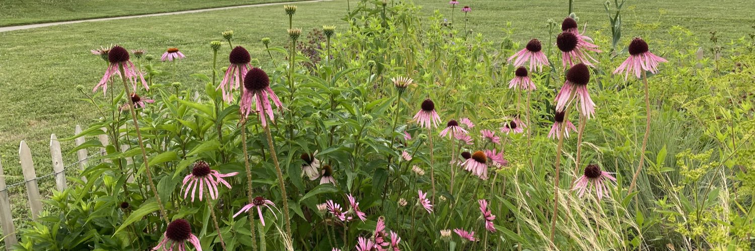 Moved to @NoogaNature - come follow us! banner