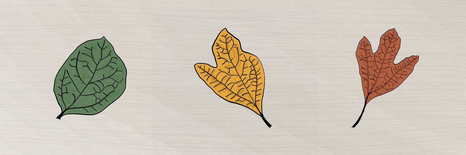 elycartwright's profile banner image