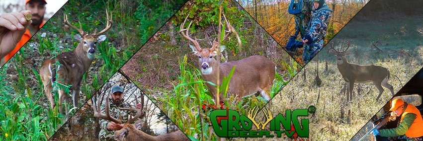 GrowingDeer.tv banner