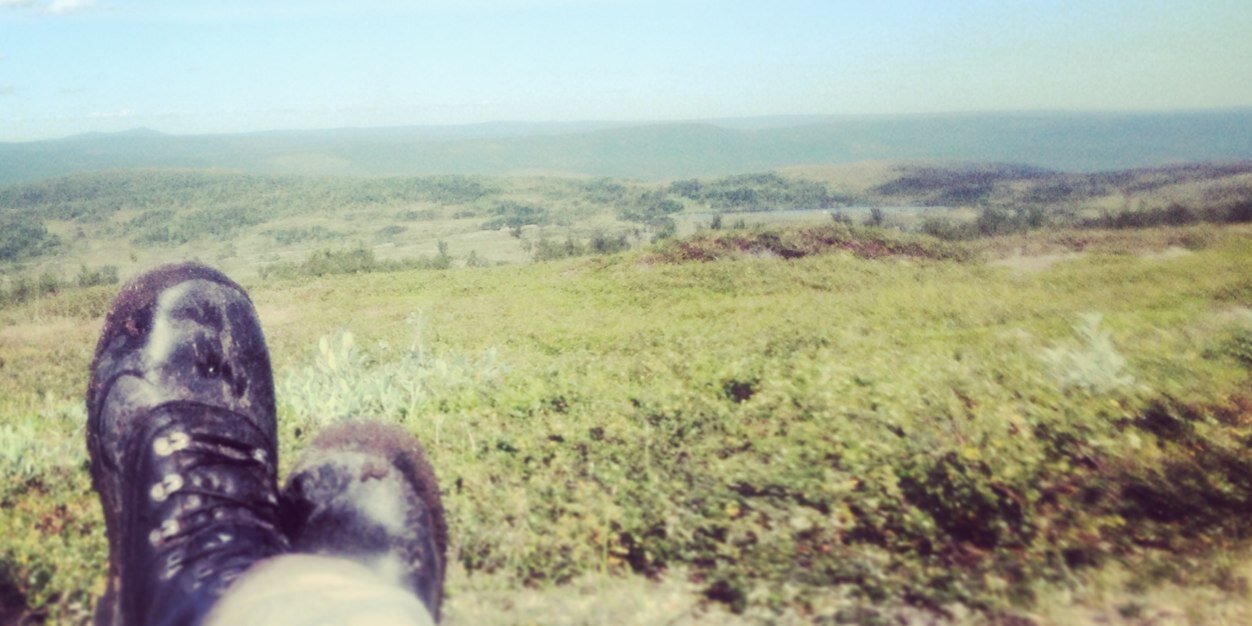 Call me ”Dave” banner