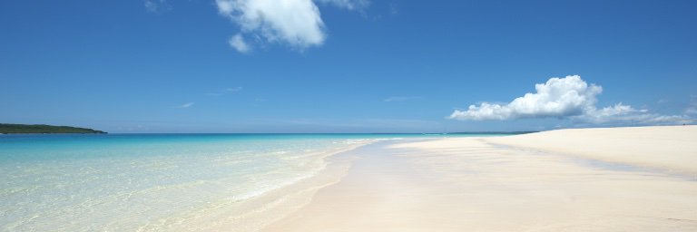 batochin_立ち位置は取り巻き banner