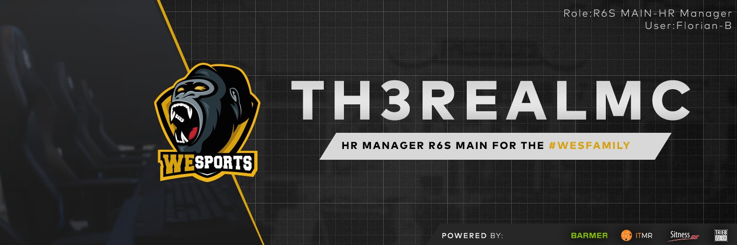 Th3RealMC banner