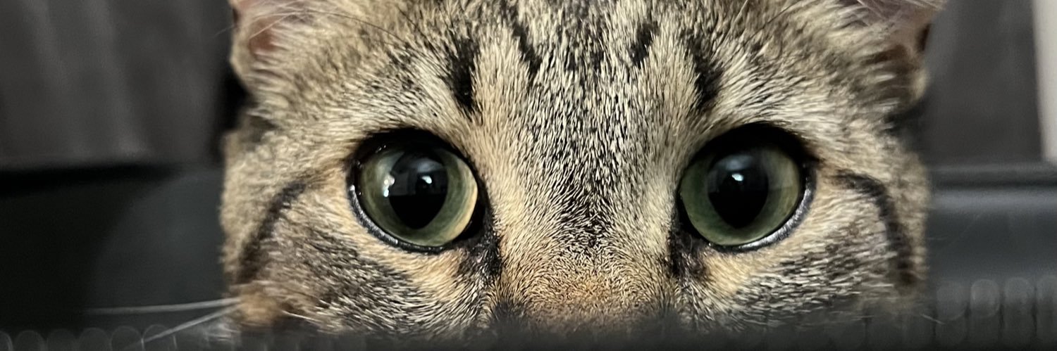 jacquie's profile banner image