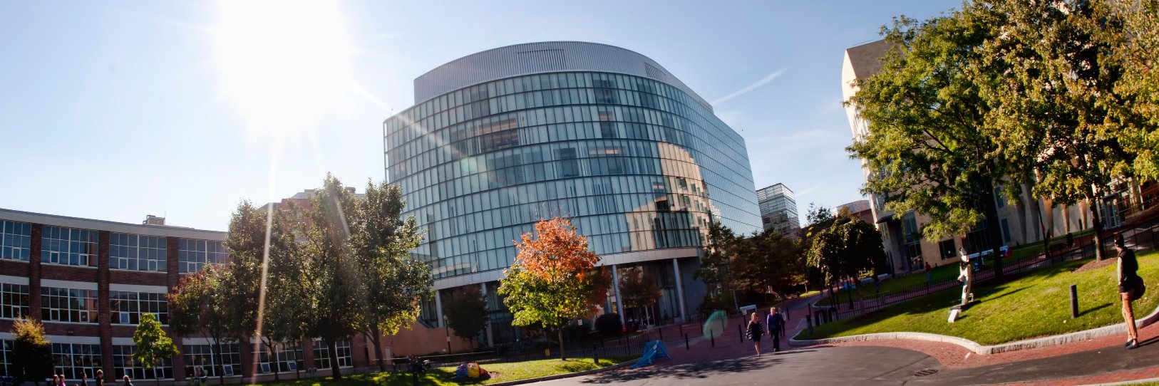 Northeastern University Physical Therapy banner