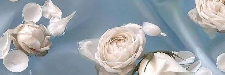 dilaoctov's profile banner image
