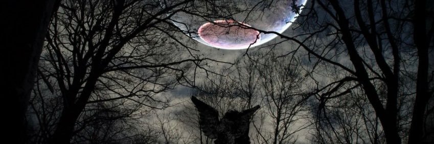 MagsLKnoll's profile banner image